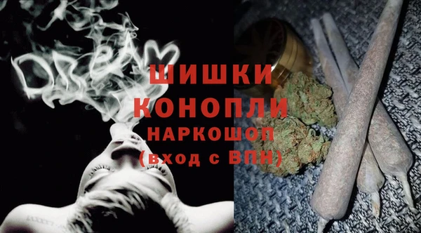 шишки Алексеевка
