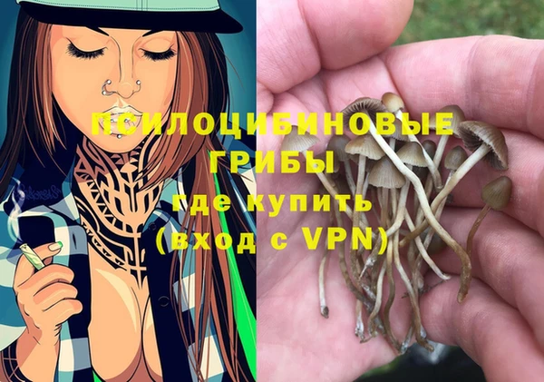 круглые Алзамай